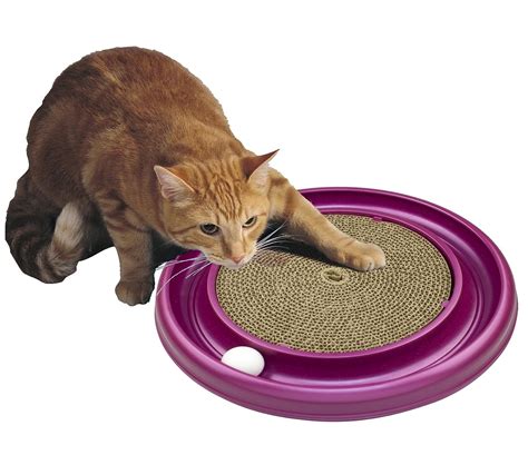 Witchcraft cat scratching toy